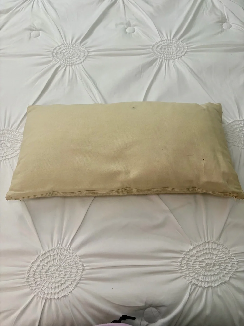 Pottery Barn Embroidered Santa Sleigh Reindeer Holiday Wool Blend Lumbar Pillow